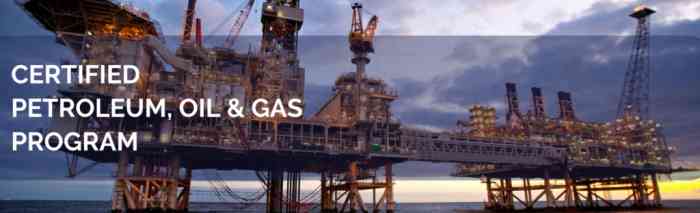 oil and gas course for electrical engineers
